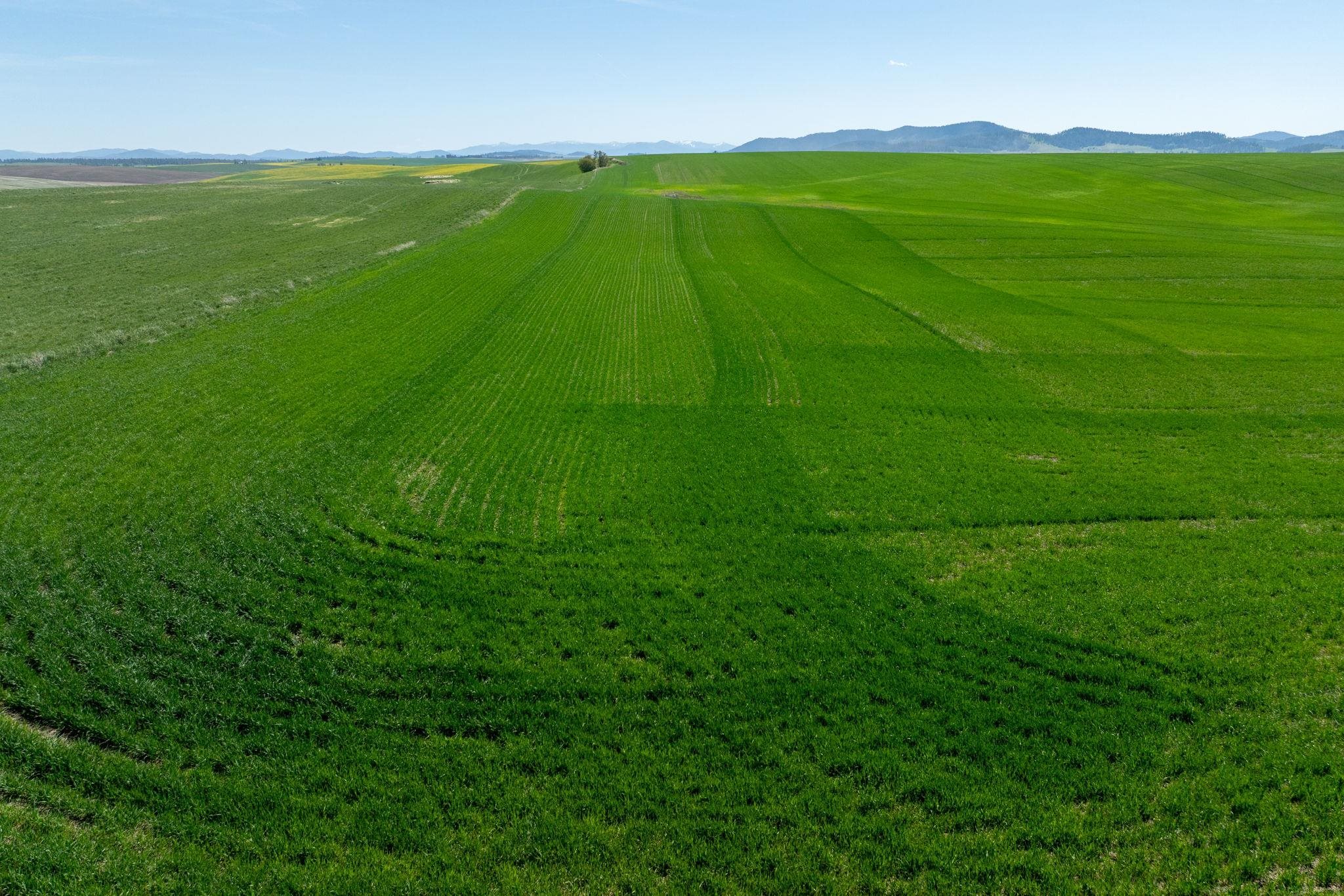 Nka South Starr Road Fairfield, WA 99012 - Photo 24 of 30