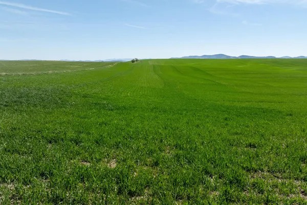 $715,000 | Nka South Starr Road, Fairfield, WA 99012