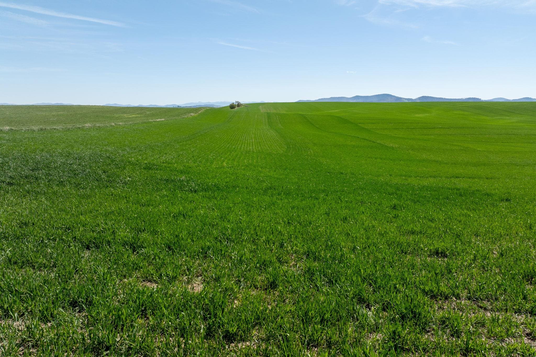 Nka South Starr Road Fairfield, WA 99012 - Photo 26 of 30