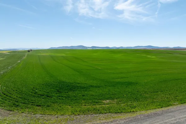 $715,000 | Nka South Starr Road, Fairfield, WA 99012