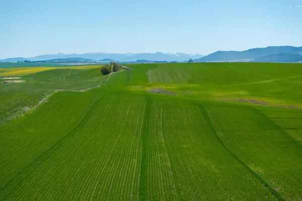 $715,000 | Nka South Starr Road, Fairfield, WA 99012