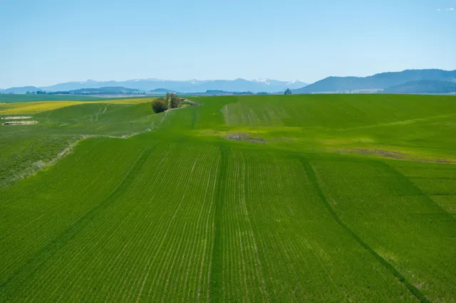 $715,000 | Nka South Starr Road, Fairfield, WA 99012