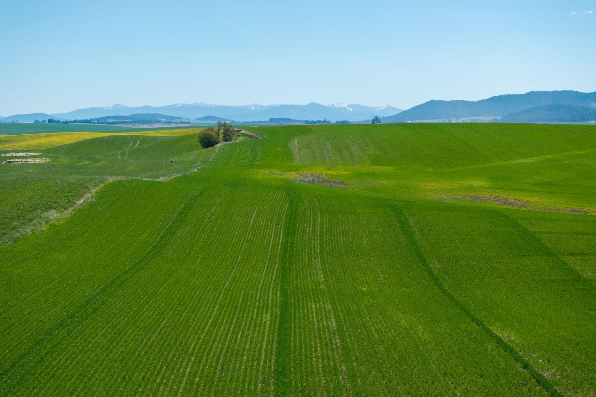 Nka South Starr Road Fairfield, WA 99012 - Photo 10 of 30