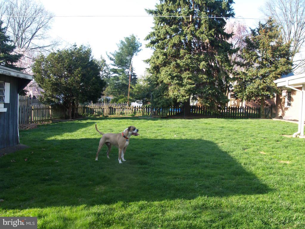 116 Whitney Road Lancaster, PA 17603 - Photo 6 of 24 Gallery Image 6