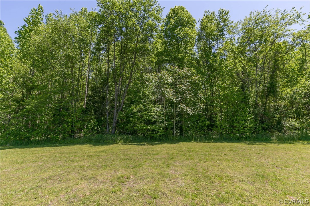 7339 Strath Road Henrico, VA 23231 - Photo 41 of 50 a view of a yard with a tree