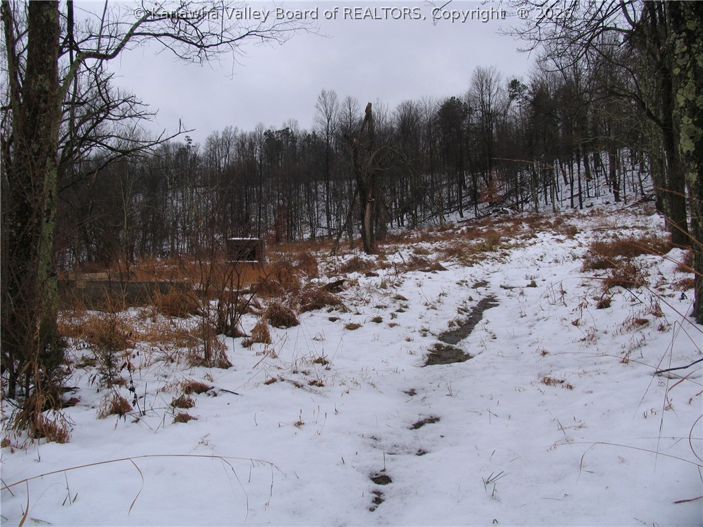 0 Foster Ridge Road Evans, WV 25241 - Photo 8 of 12 Gallery Image 8