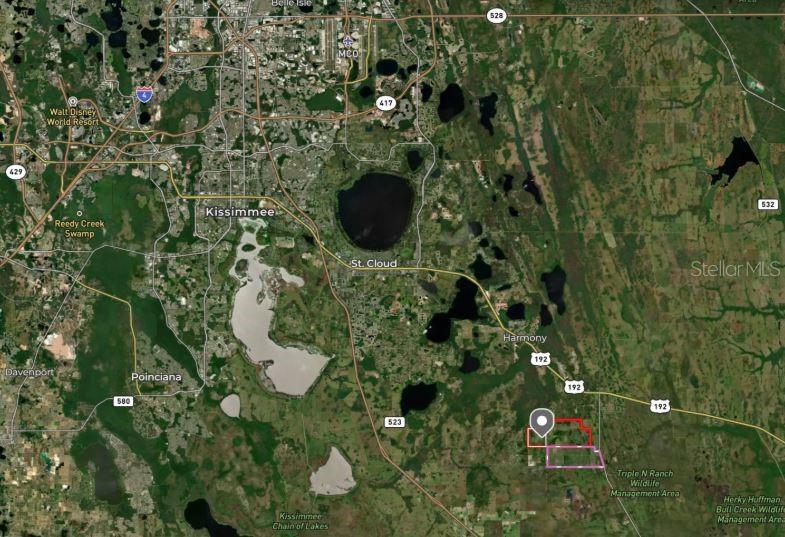 8300 Golden Citrus Road St. Cloud, FL 34773 - Photo 2 of 4 a close up of a plant in a garden