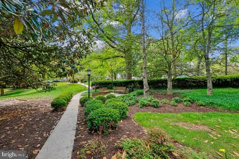a view of a park with large trees