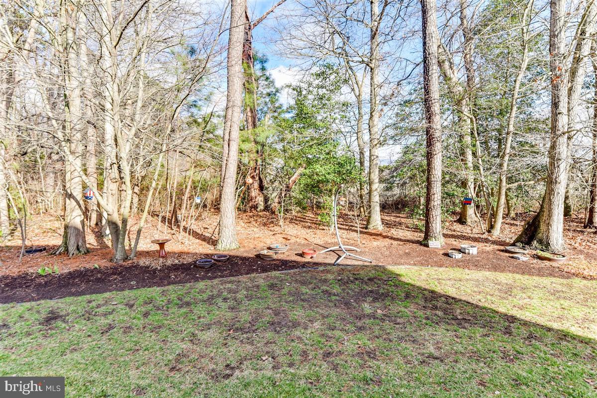 6109 Tarry Town Road Salisbury, MD 21801 - Photo 45 of 47 Gallery Image 45