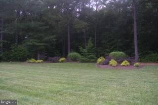 Lot 4 Union Church Road Salisbury, MD 21804 - Photo 6 of 10