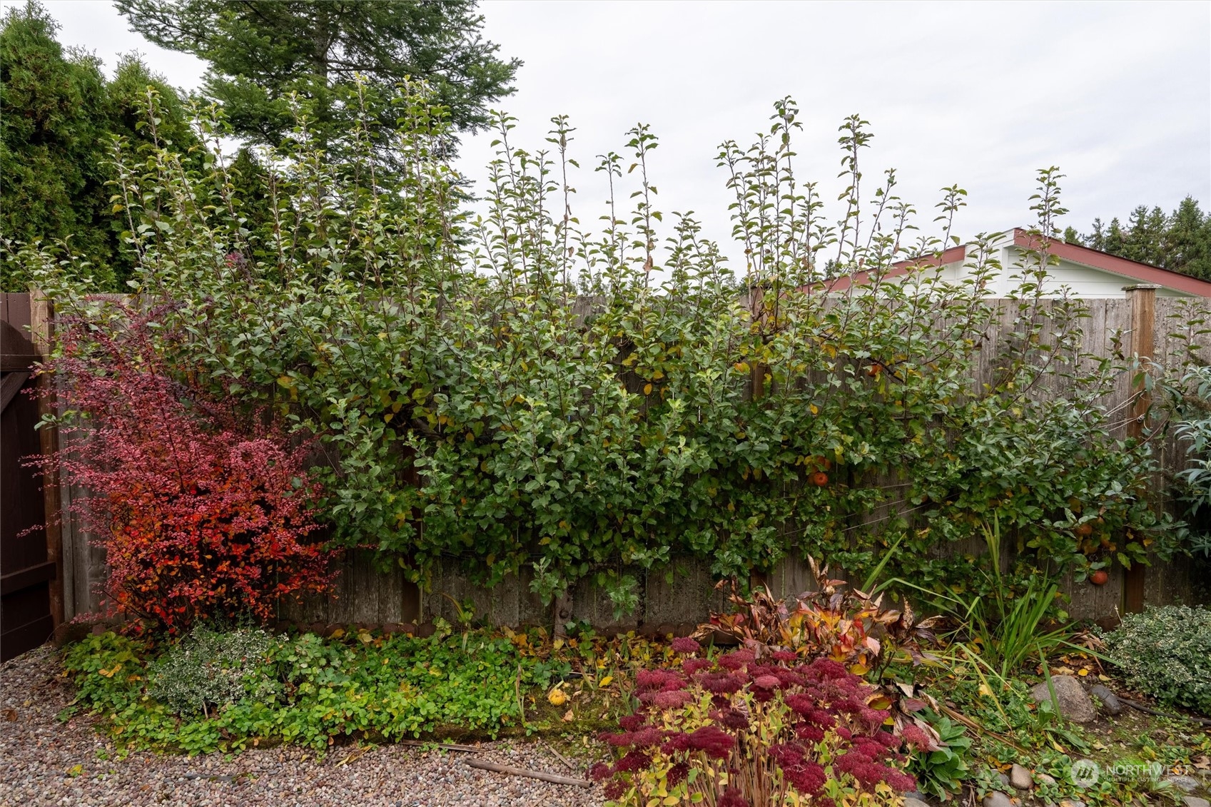 2015 24th Street, Unit 82 Bellingham, WA 98225 - Photo 28 of 40 Gallery Image 28