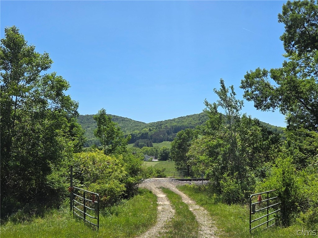 Lillibridge Road Olean, NY 14760 - Photo 2 of 48