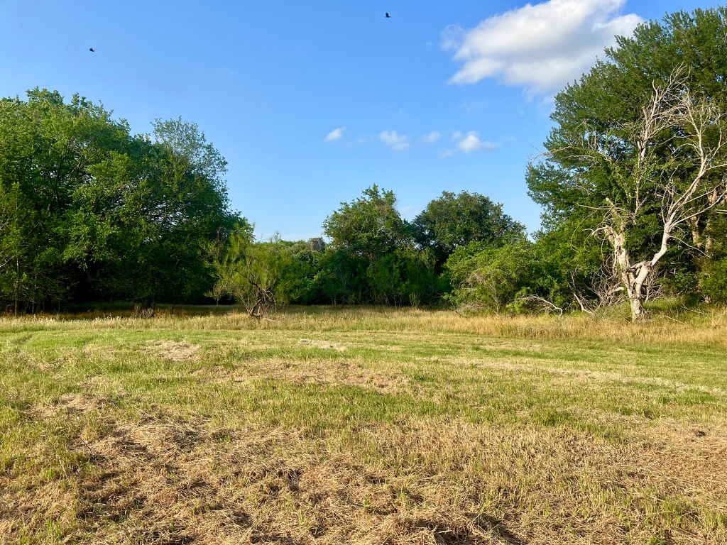 0 Hidden Shores Road Smithville, TX 78957 - Photo 20 of 28