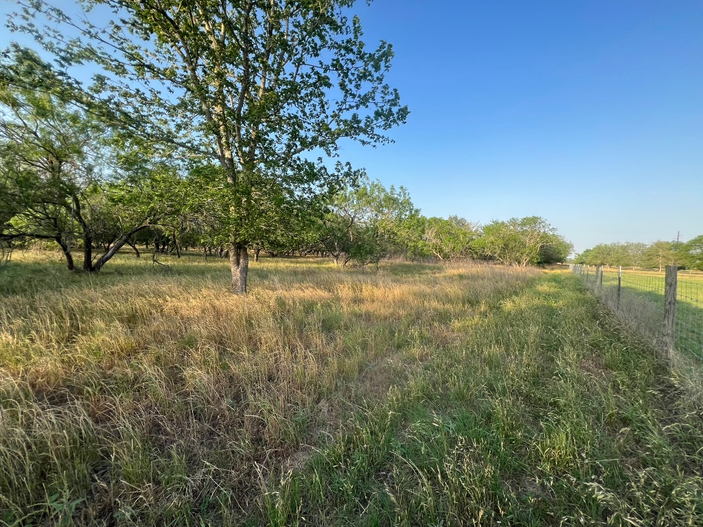 0 Hidden Shores Road Smithville, TX 78957 - Photo 25 of 28 a view of a field with trees in the background