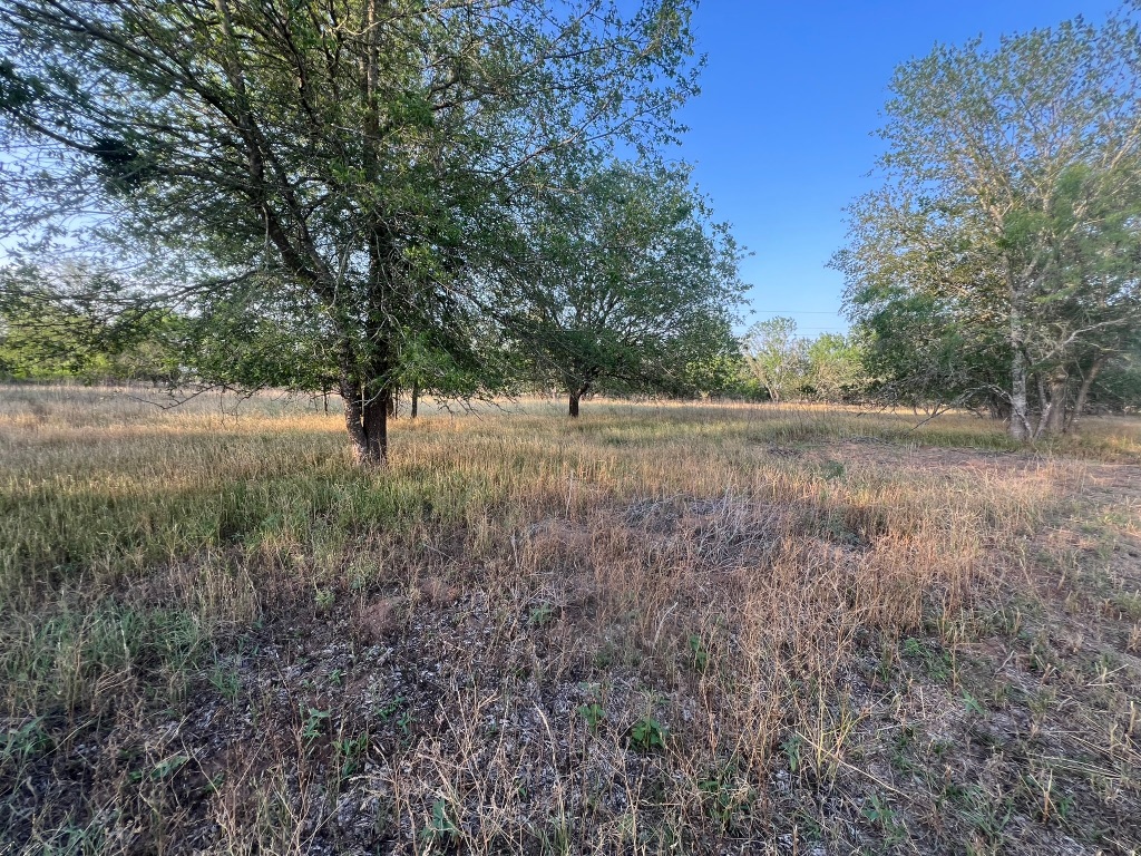 0 Hidden Shores Road Smithville, TX 78957 - Photo 27 of 28 a view of dirt yard with a trees