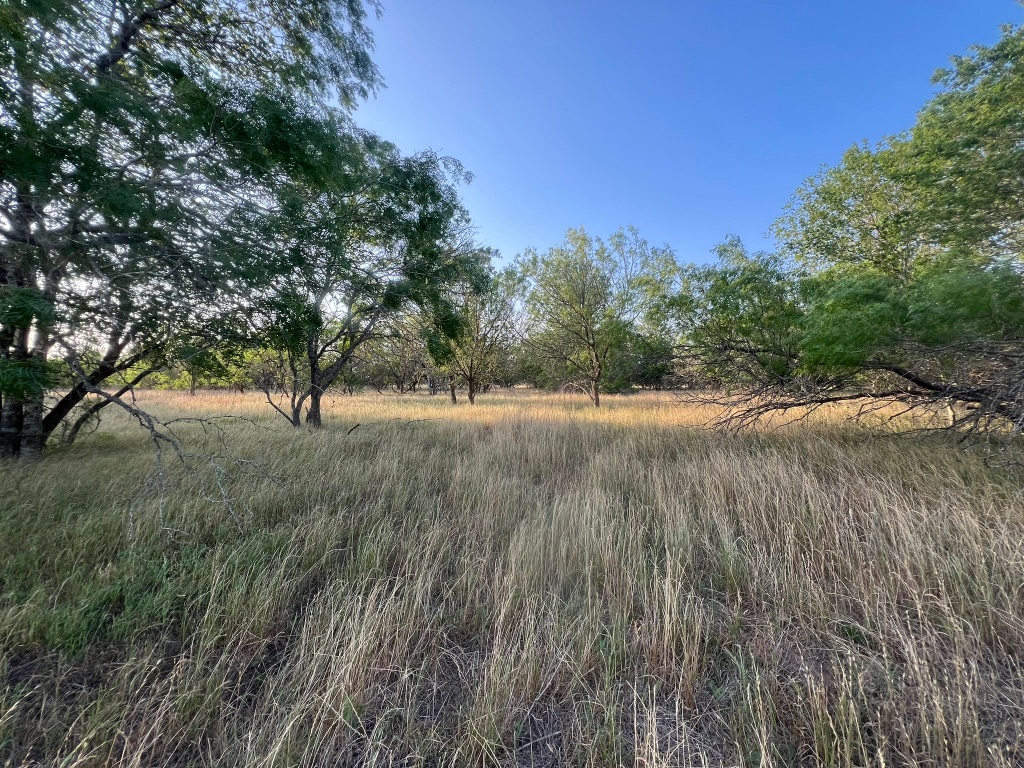 0 Hidden Shores Road Smithville, TX 78957 - Photo 28 of 28 a view of a yard with an trees