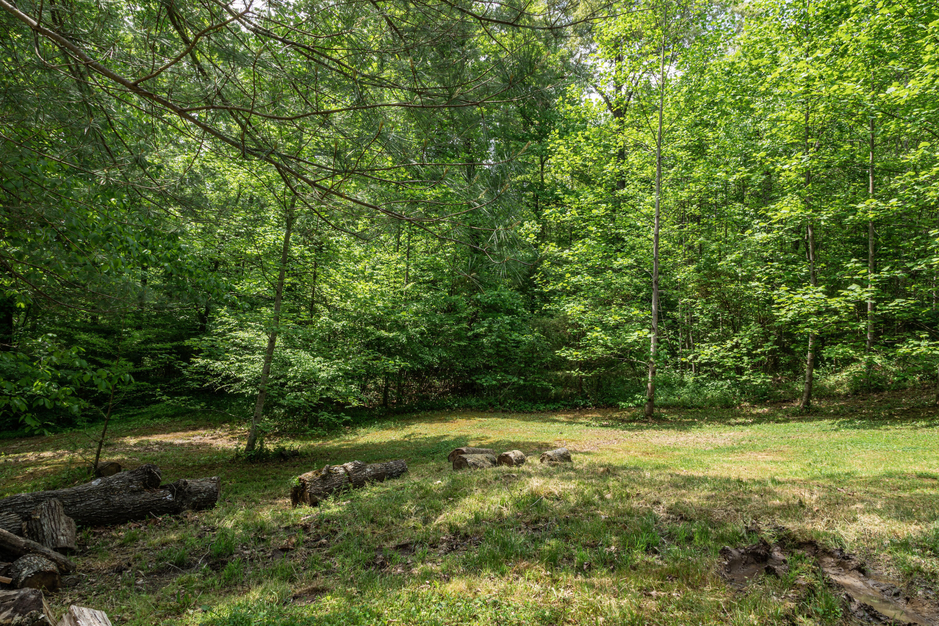 1675 Red Lick Road Berea, KY 40403 - Photo 34 of 37 3CA8F241-B3CC-48A8-A5CA-3D9FDFFB8614