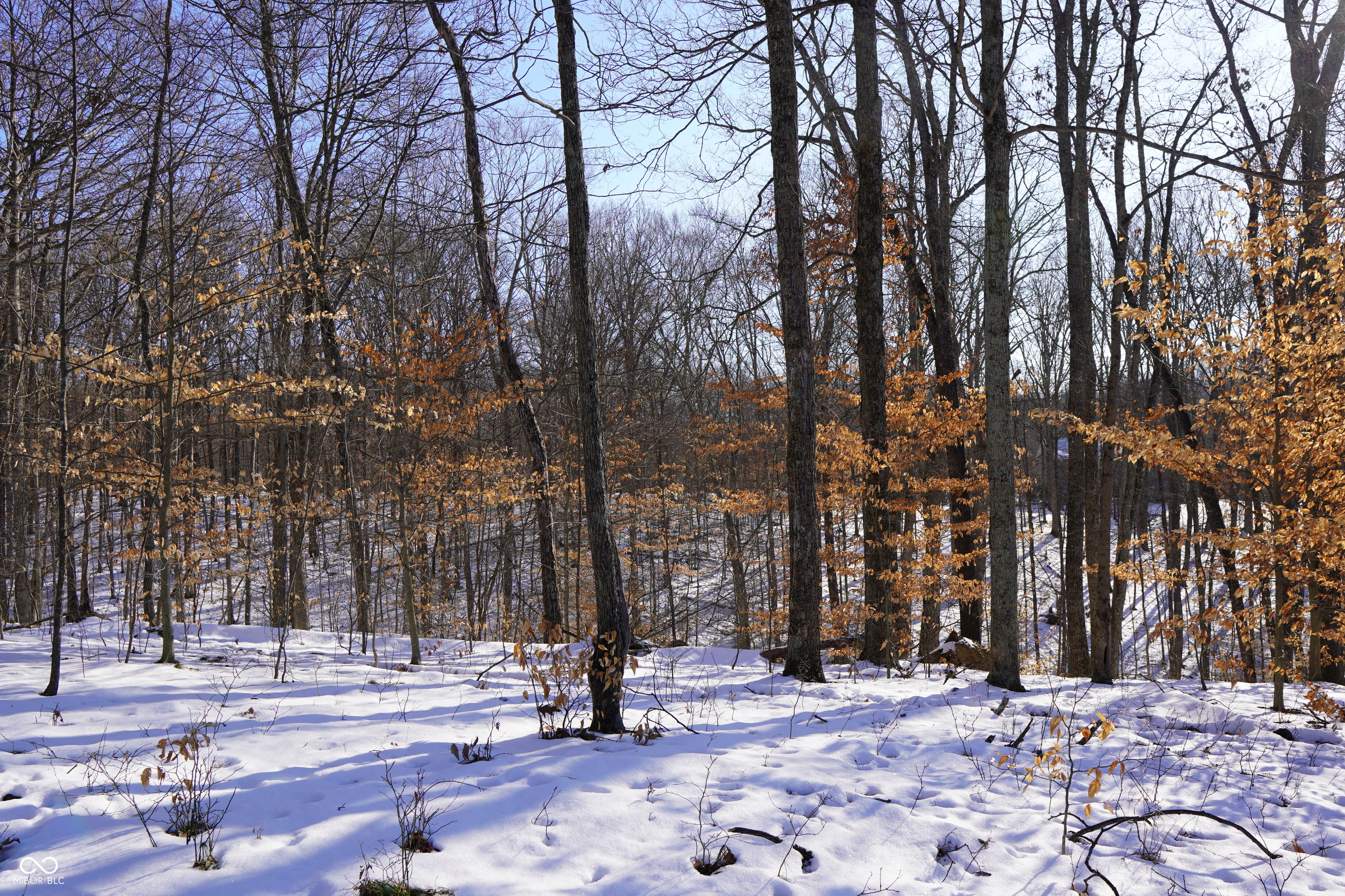 Long Lake Road Nashville, IN 47448 - Photo 3 of 7 Gallery Image 3