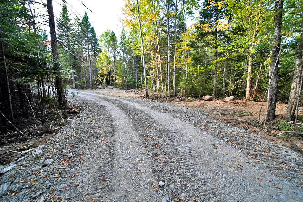 Off Lot 25 Off Road Smyrna Mills, ME 04780 - Photo 16 of 30 me-land-home-building