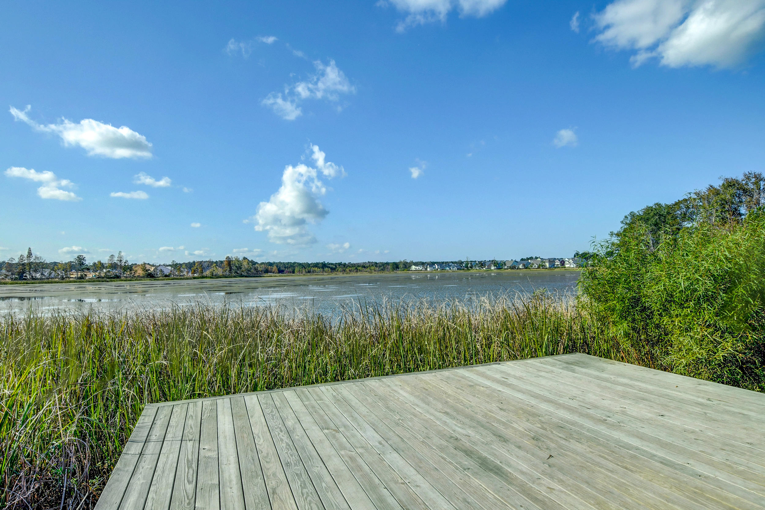 105 Cooks Rest Lane Moncks Corner, SC 29461 - Photo 41 of 41 DSC_6701_2_3_4_5