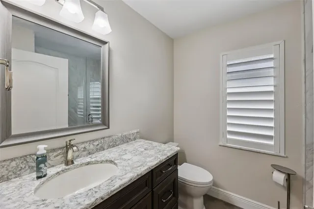 a view of a yard with plants and large trees