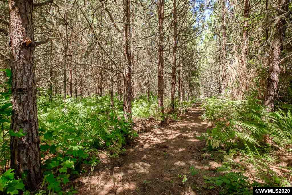 37891 Hungry Hill Road Scio, OR 97374 - Photo 33 of 38