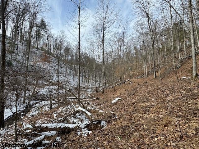 1 Spruce Run Poca, WV 25159 - Photo 32 of 38 Gallery Image 32