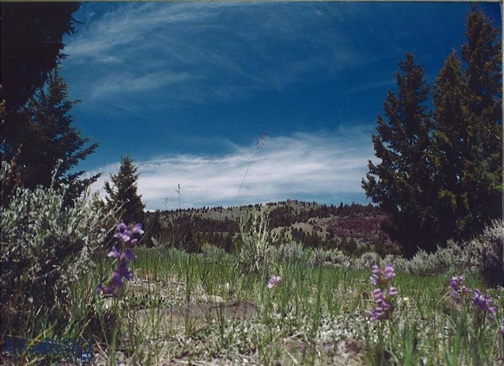 Fc Ranch Fc Ranch Ramsay, MT 59748 - Photo 2 of 40 Gallery Image 2