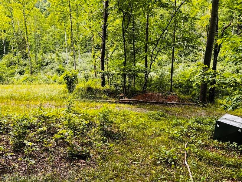 3770 Gravely Hill Road Ripplemead, VA 24150 - Photo 25 of 38 Gallery Image 25