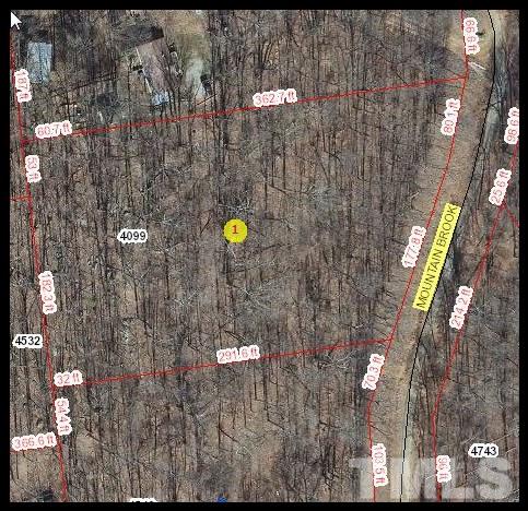 0 Mountain Brook Road Rougemont, NC 27572 - Photo 1 of 1