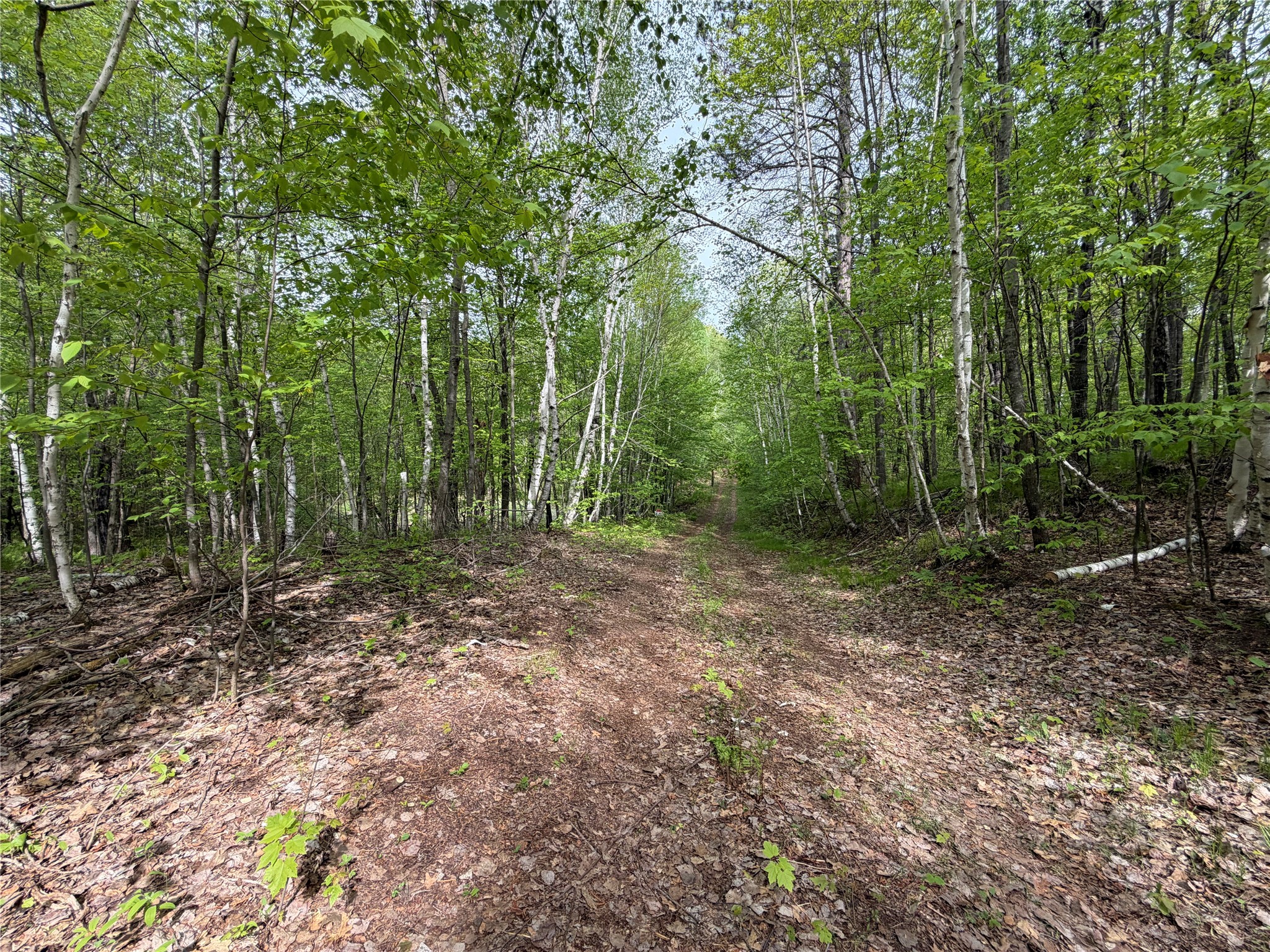 Lot 4 Peterson Road Foxboro, WI 54836 - Photo 3 of 11 Gallery Image 3