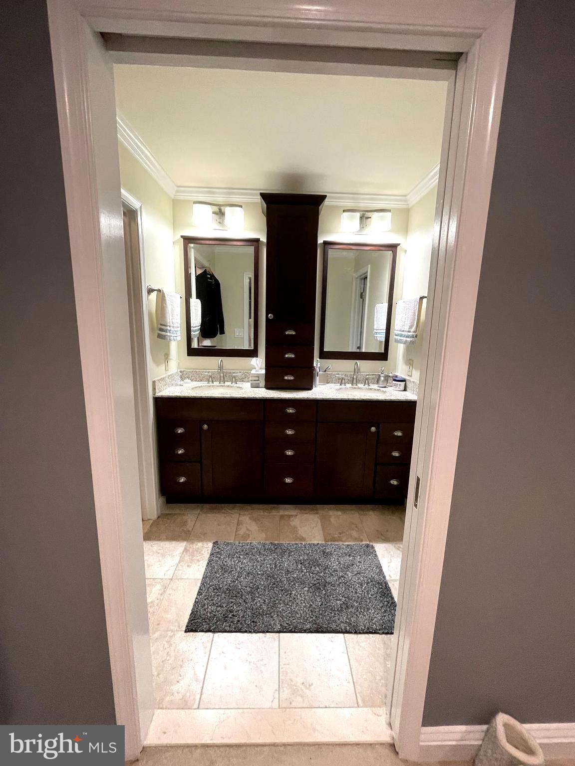 1604 Apricot Court Reston, VA 20190 - Photo 14 of 36 MASTER BATH