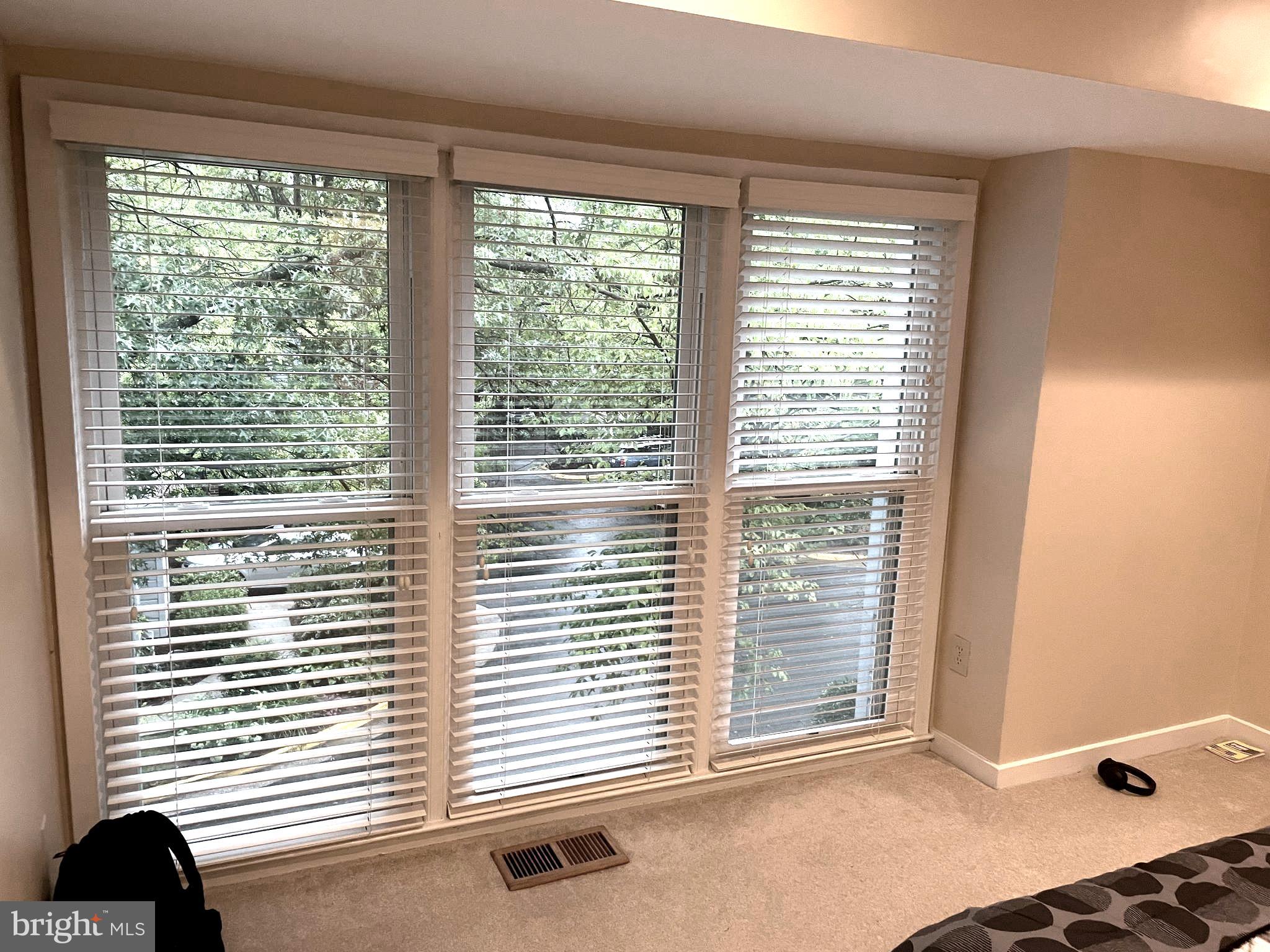 1604 Apricot Court Reston, VA 20190 - Photo 18 of 36 VIEW FROM BED -2