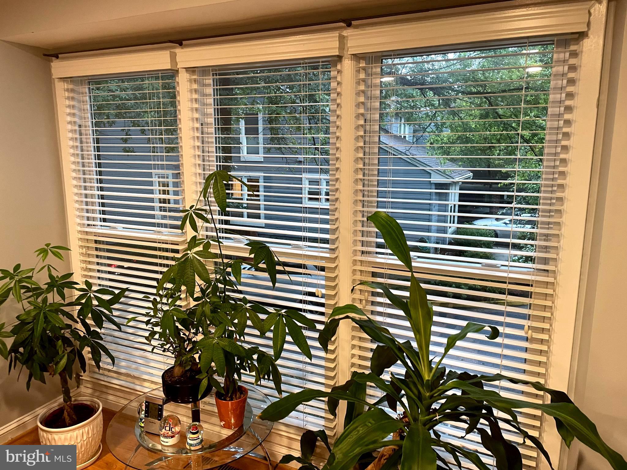 1604 Apricot Court Reston, VA 20190 - Photo 3 of 36 VIEW FROM LIVING ROOM