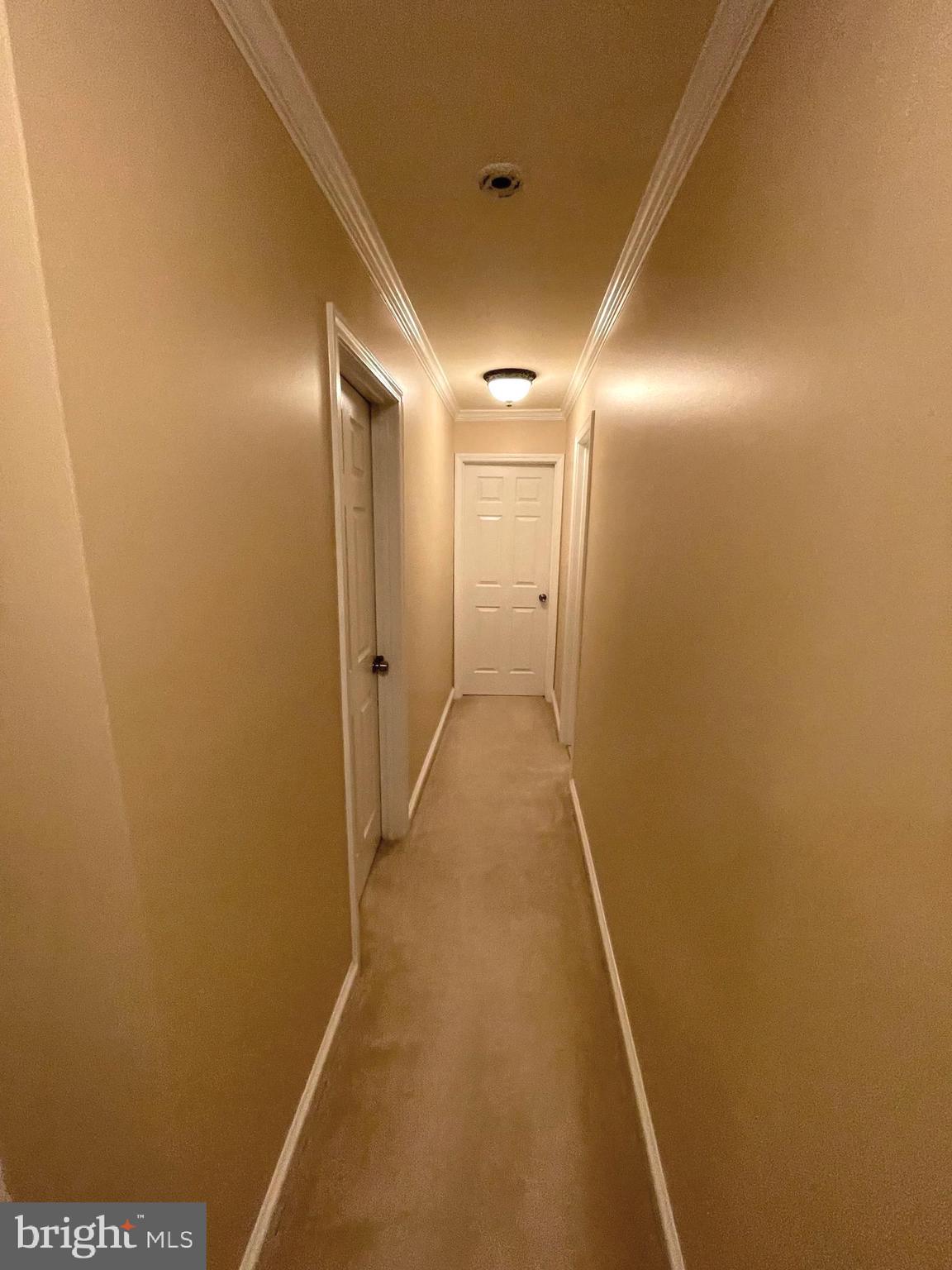 1604 Apricot Court Reston, VA 20190 - Photo 22 of 36 HALLWAY
