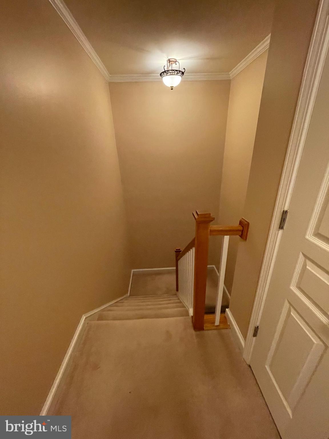 1604 Apricot Court Reston, VA 20190 - Photo 33 of 36 INTERIOR GENERAL