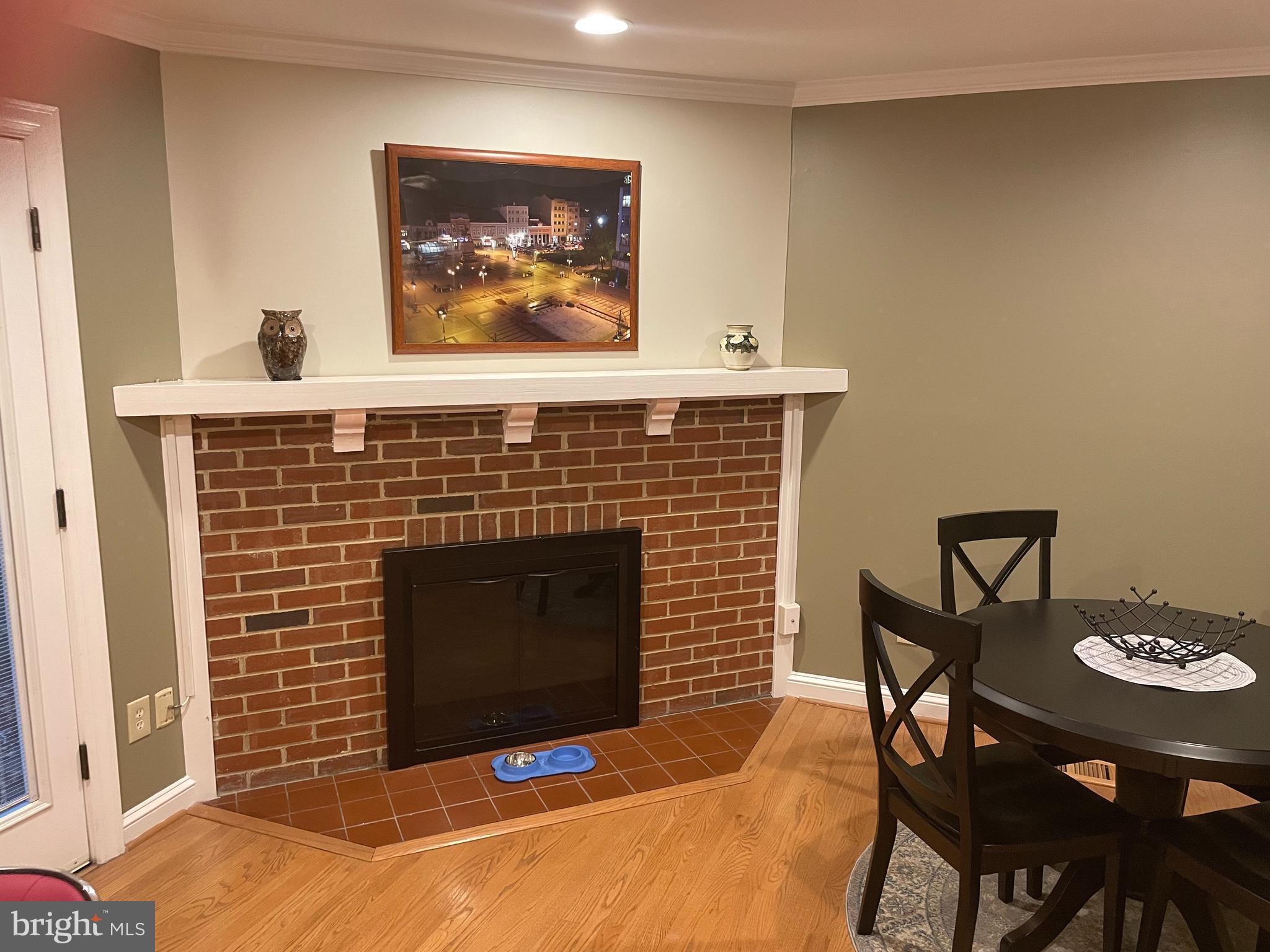 1604 Apricot Court Reston, VA 20190 - Photo 8 of 36 FIREPLACE-1
