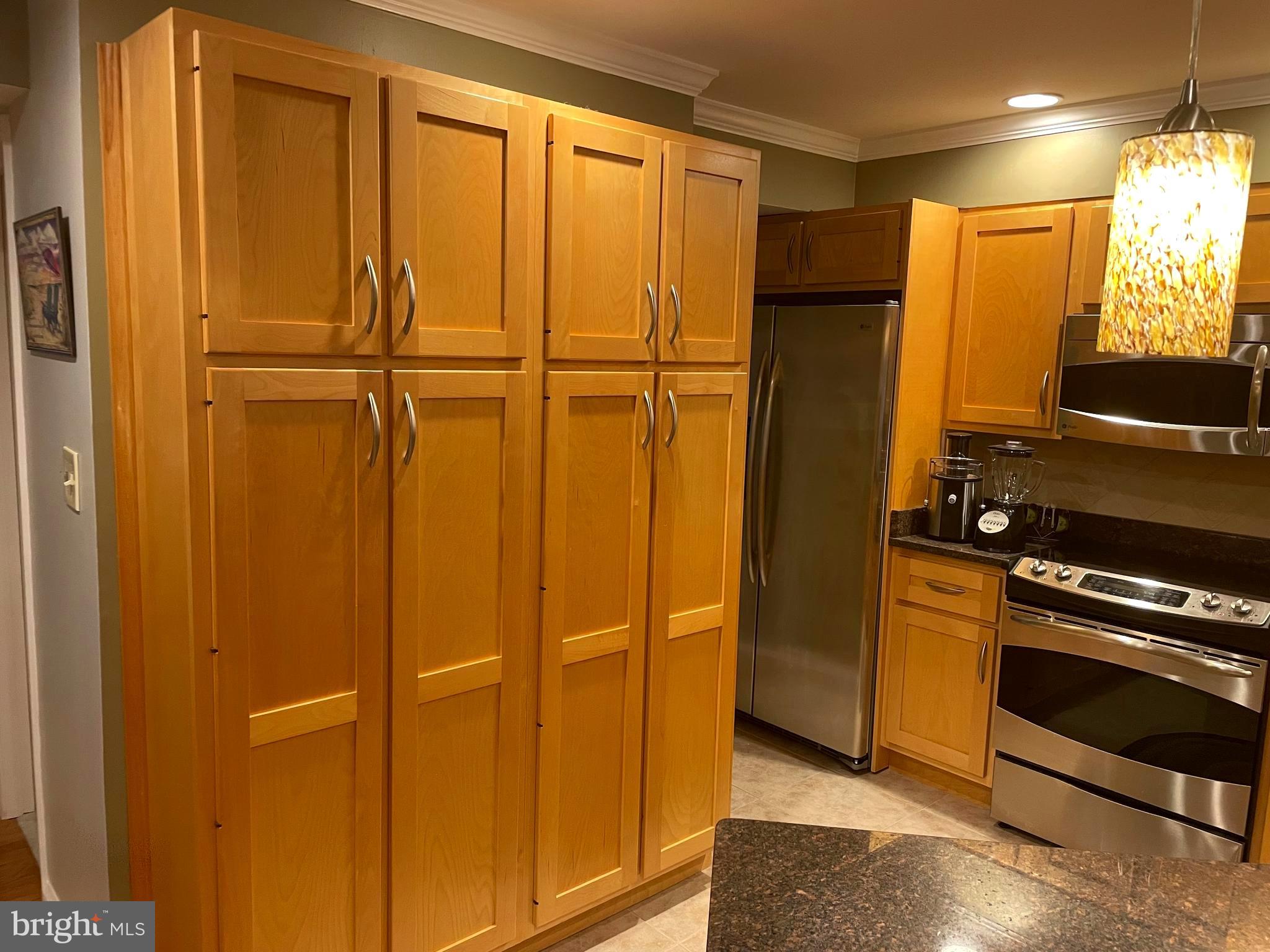 1604 Apricot Court Reston, VA 20190 - Photo 10 of 36 CUSTOM CABINETS
