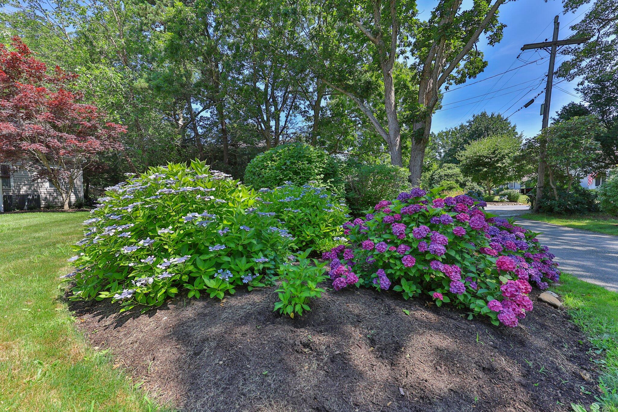 35 Angus Way Centerville, MA 02632 - Photo 35 of 62 a view of a garden with flowers