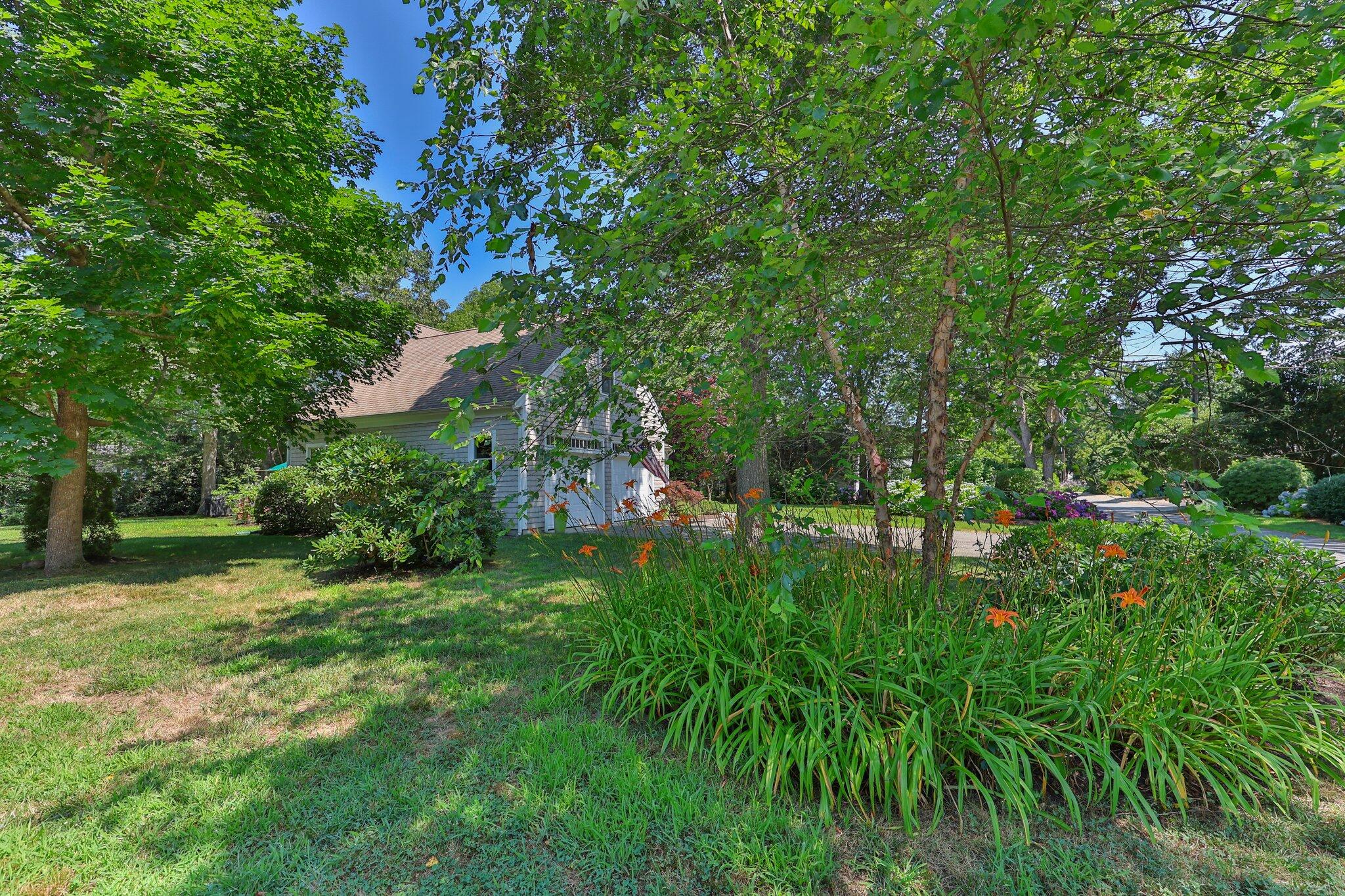 35 Angus Way Centerville, MA 02632 - Photo 36 of 62 a lush green forest with lots of trees