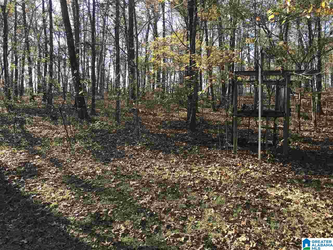 124 Chestnut Drive Alabaster, AL 35007 - Photo 22 of 26
