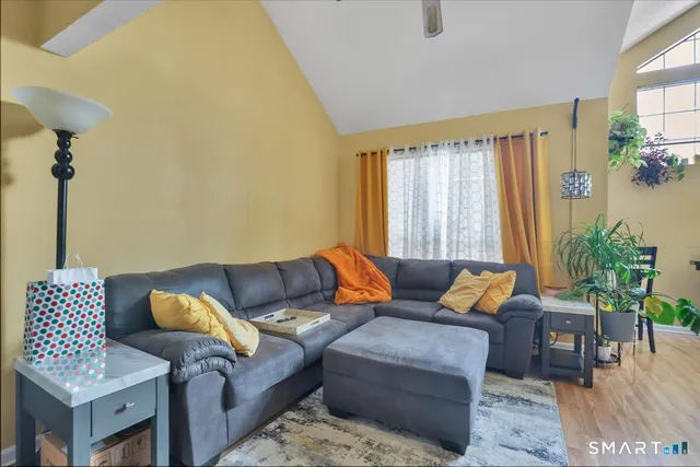 a living room with furniture and a potted plant
