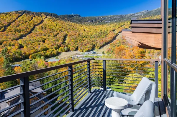 $12,495,000 | 101 Switchback Lane, Stowe, VT 05672
