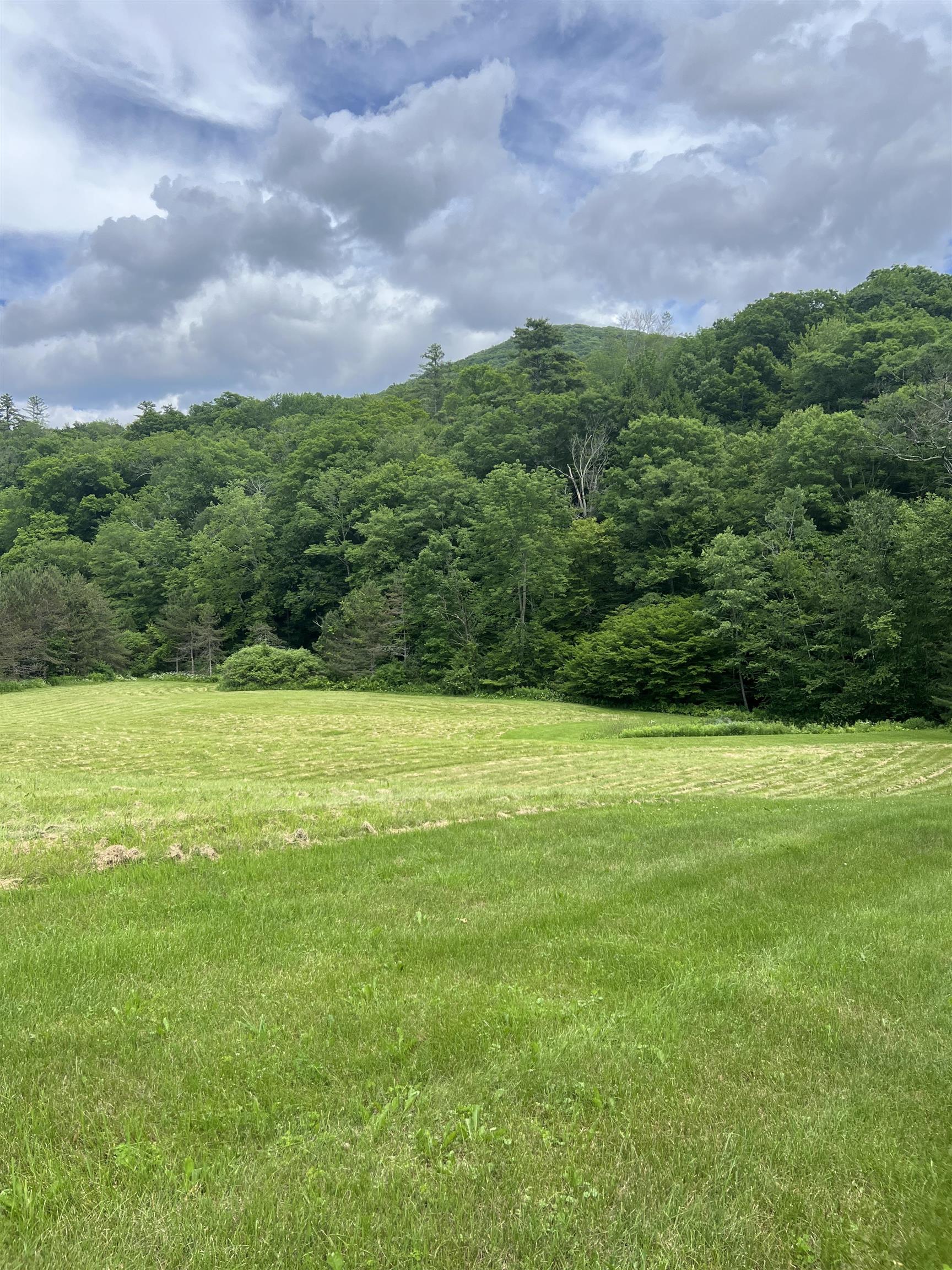 2740 Sandgate Road Sandgate, VT 05250 - Photo 17 of 19