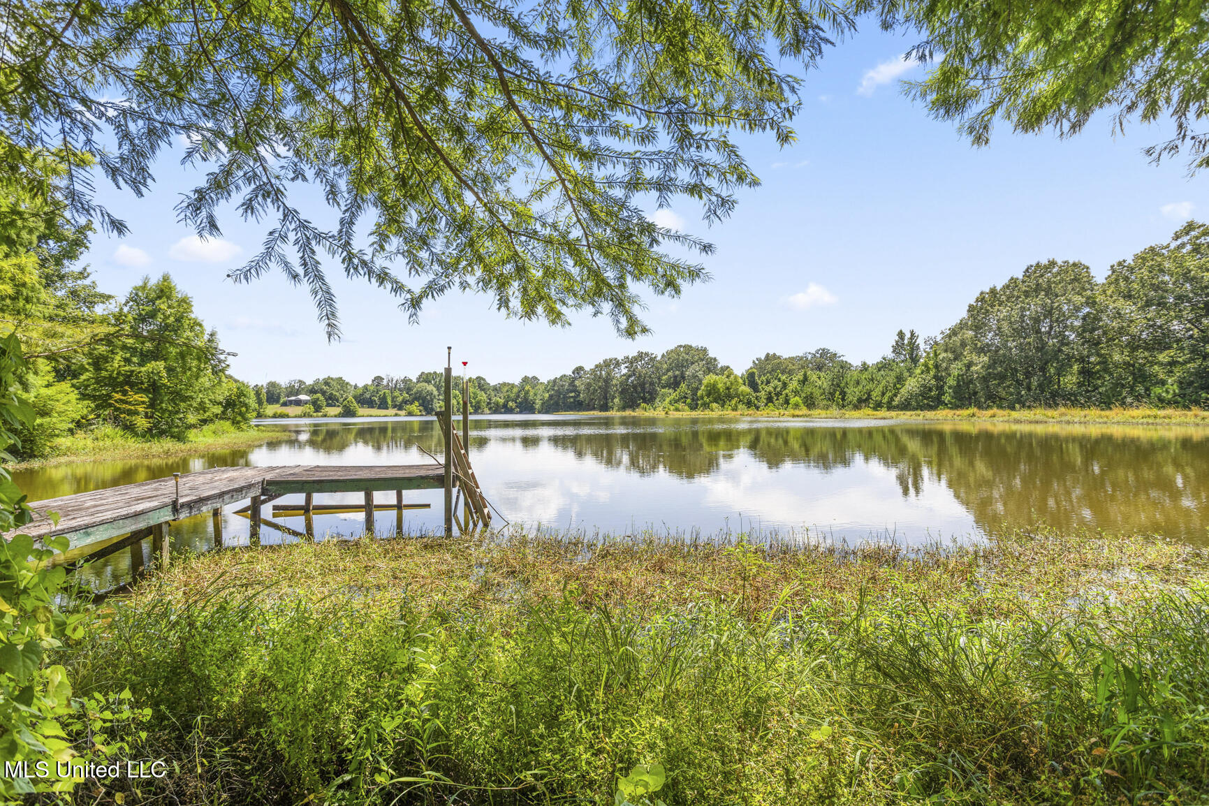 1313 Ranger Road Raymond, MS 39154 - Photo 9 of 74 1313 Ranger-9