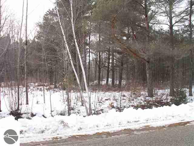 0 Riverside Drive, Unit LOT: 4 Honor, MI 49640 - Photo 4 of 6 Gallery Image 4