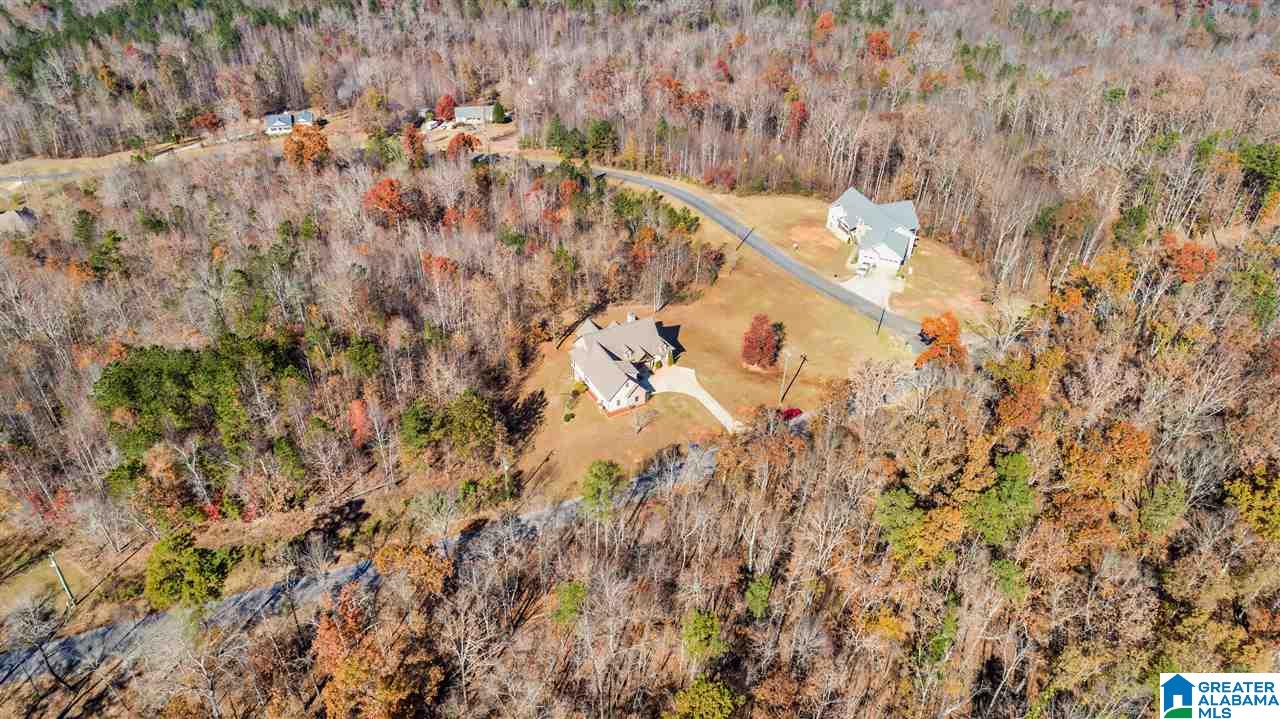 1060 Wolf Pen Ridge Road Pell City, AL 35128 - Photo 49 of 50