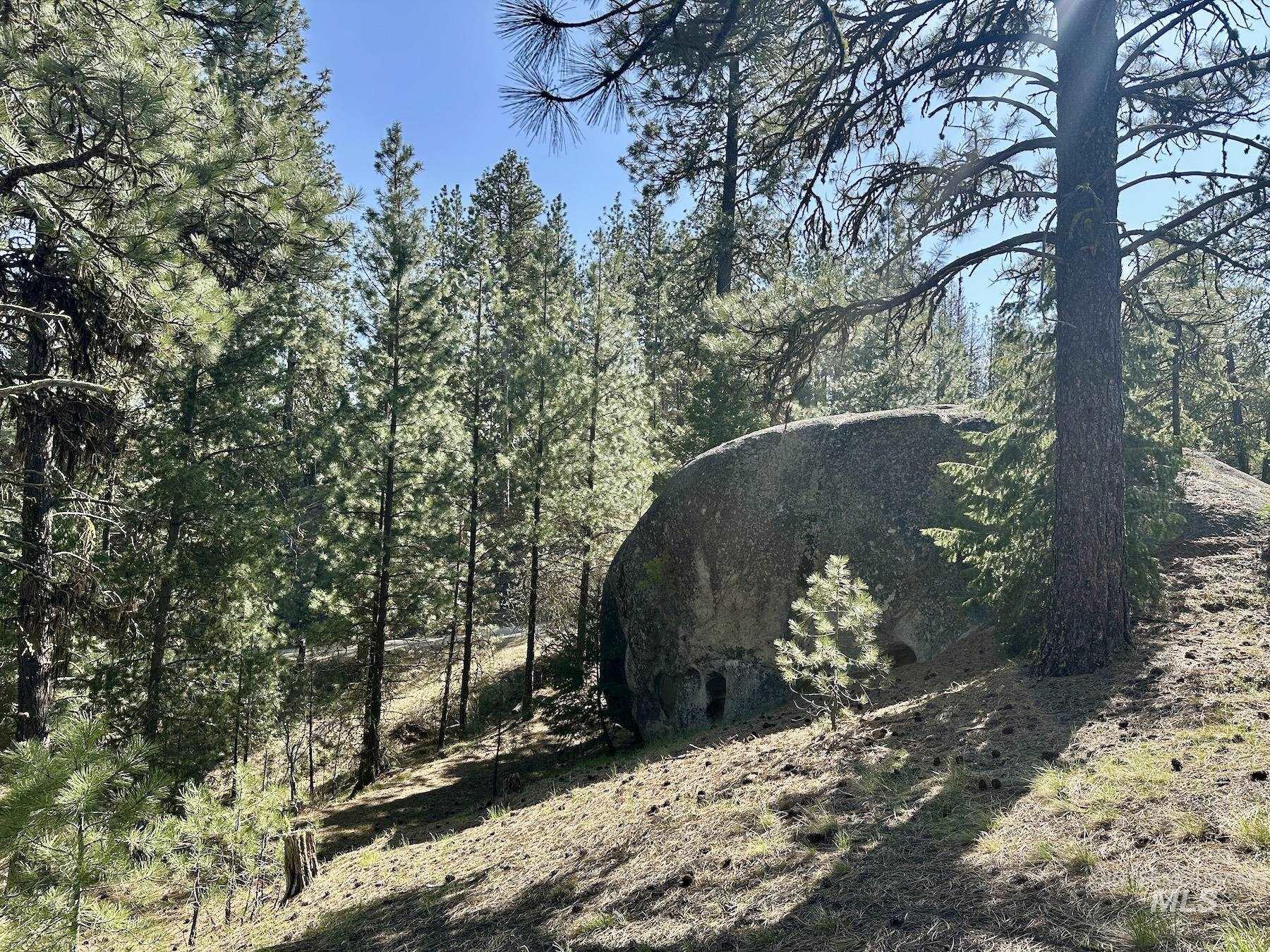 37 Stanley Drive Cascade, ID 83611 - Photo 9 of 11