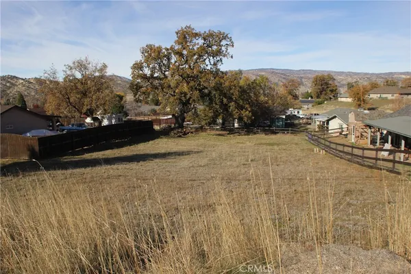 a view of a yard