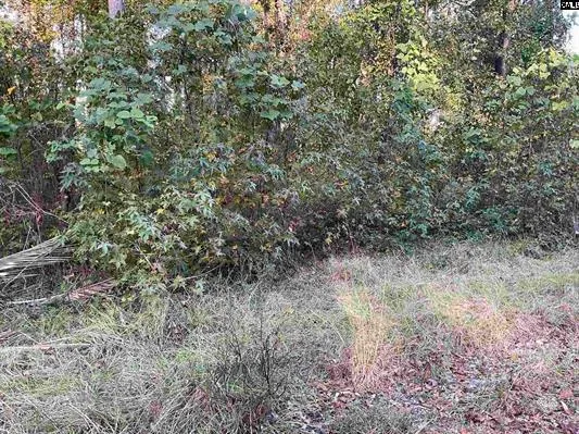 $349,000 | 3551 Moonlight Road, Williston, SC 29853
